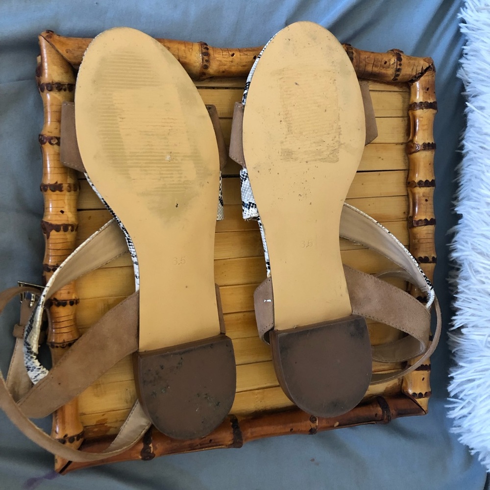 Sole Society Sandals snake print - Picture 6 of 8